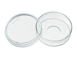 GLASS BOTTOM DISH UNCOATED NO 15 CS100.