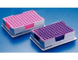 TUBE PCR COOLER EPPENDORF BLUE