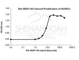 300-31-500UG RAT VEGF-165