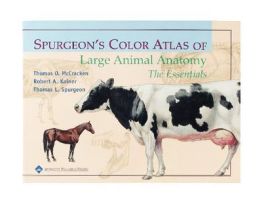 BOOK SPURGEONS ATLAS OF LGE ANIMAL ANAT