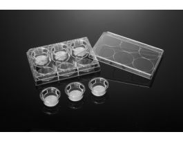 INST PET 1.0UM 6W 24MM 6/PLATE 24/CS ST