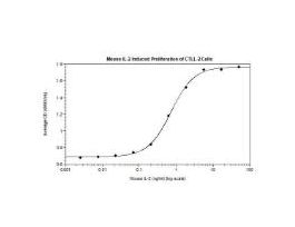 RECOM E.COLI IL-2 >/=95% 17.4 KDA 500UG