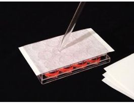 VWR FILM-POROUS NS CS100