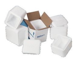 CONTAINER MOLDED EPS 8X6X4.25 #7110 PK