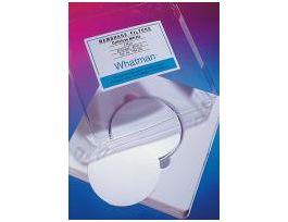 .2UM FILTER FOR P-3077-1