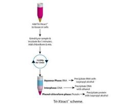 REAGENT TOTAL RNA ISOL TRI-XTRACT 100ML