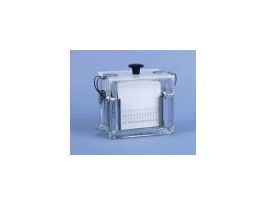 developing latch-lid tank with lid, capacity: five 20 x 20 cm plates