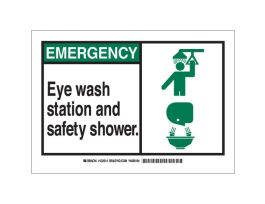 EMERGENCY Eye Wash Station And Safety Shower. Sign, 7" H x 10" W x 0.06" D, Polystyrene