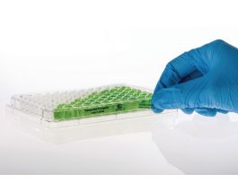 LABEL 2.64X0.28IN CRYO CLEAR LASR SH 1PK