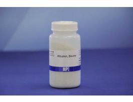 ALBUMIN BOVINE CLIN 25.00GM