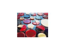 Prepared agar plate, Baird Parker agar, 10/pk