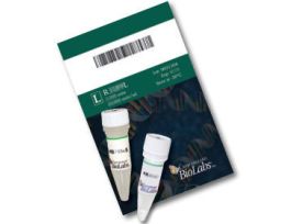 Bsr I 2,500 units, Restriction Enzyme Endonuclease