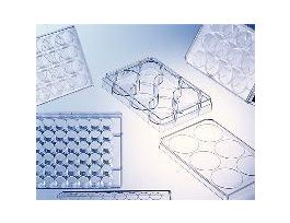 PLATE 6WELL PS CS100