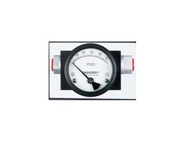 2-" Economical Differential Pressure Gauges, 0 to 30 psid