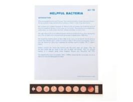 HELPFULBACTERIAMICROSLIDESET/15WORKSHEET