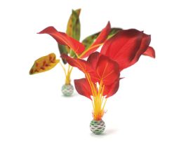 BIORB SILK PLANT SET 2 LARGE GREEN RED PK