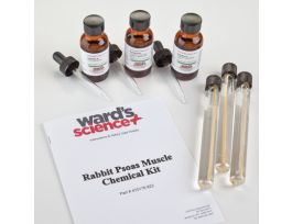 CHEM. SET ATP MUSCLE STUDY KIT.