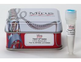 TRANSIT-X2DYNAMIC SYSTEM 750UL