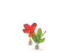 BIORB SILK PLANT SET 2 SMALL GREEN RED CS