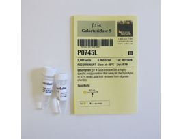 BETA 1-4 GALACTOSIDASE S P0745L