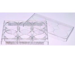 VWR PLATE TISSUE CULTURE 6 WELLS ST