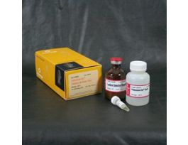 PROTEASOME-GLO CASPASELIKE ASSAY 50ML