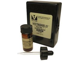 Hardset Antifade Mounting Medium with Phalloidin, 10 ml