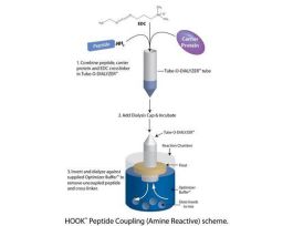 PEPTIDE COUPLING (AMINE+BSA)