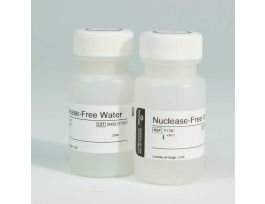 NUCLEASE-FREE WATER 1000ML