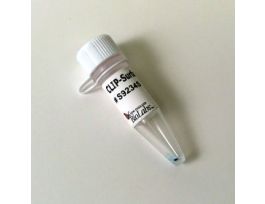 CLIP SURFACE 647 50 NMOL.