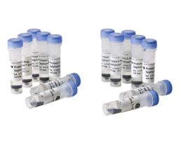 PROTEIN G MAG SEPHAROSE XTRA 5