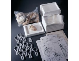 ADVANCED SHEEP HEART MANUAL EA