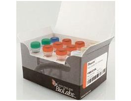 PHUSION HF DNA POLYM 500 UNIT