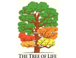 CHART TREE OF LIFE