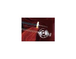 CHROMAFLEX COLUMN SZ 222