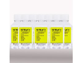 10X TBS PH 7.4 CS10X500ML