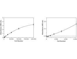 KIT 1 ASY WST-1 CELL PROLIFERATION 2-4HR