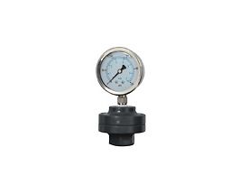 Industrial Pressure/Process Gauge, 2.5" Dia, FKM Diaphragm; 0 to 30 psi