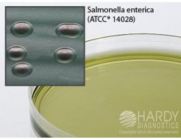 MEDIUM HEKTOEN ENT AGAR PLTD 18ML PK10