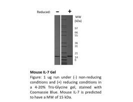 200-03-500UG MOUSE IL-7