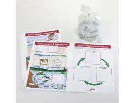 HANDS ON ANIMAL GROWTH