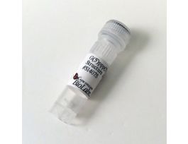 G(5')PPP(5') RNA CAP - 1 UMOL