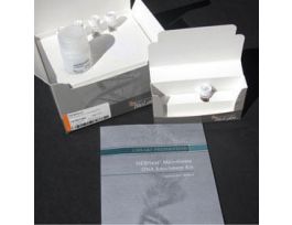 NEBNEXT MICROBIOME DNA ENRICHMENT KT