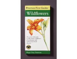 BOOK INSECTS (PETERSON FIRST GUIDE)