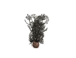 BIORB SEA FAN SMALL BLACK CS