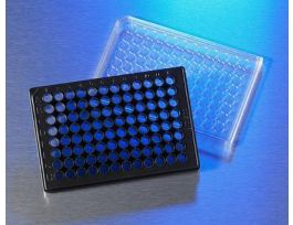 96WL,FIBRONECTIN PLT,100/CS