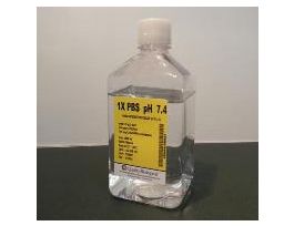IN1X PBS PH 7.4, 10LIN