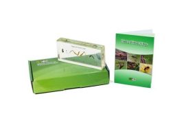 EMBEDMENT TYPES OF INSECT LEGS