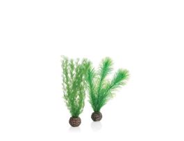 BIORB FEATHER FERN SET SMALL GREEN PK