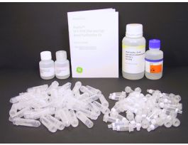 GFX PCR DNA GEL BAND PUR 250